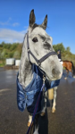 Foto: Monbeg Cazador - Fotograf: © privat
