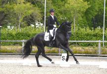 Foto: Auf der Station Maas J. Hell die Bundeschampionats- Qualifikation gewonnen: Jacob Schenk und der sechs Jahre alte Lindenberg - Fotograf: BM