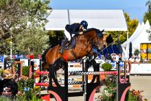 Foto: In der Zwei-Phasen-Springprüfung, Preis der Aloga Auction, über 1,40 Meter hohe Hindernisse sicherte sich Pia Sophie Haensel mit Lord Jumpleroy Platz eins - Fotograf: RathmannVerlag/Malina Blunck