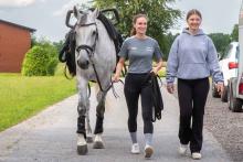 Foto: Cookie ist das neue Schulpferd beim ZRFV Rietberg-Druffel. Ihr Kauf wurde über die Initiative „100 Schulpferde plus“ gefördert. - Fotograf: Sabine Heüveldop Foto: Cookie ist das neue Schulpferd beim ZRFV Rietberg-Druffel. Ihr Kauf wurde über die Initiative „100 Schulpferde plus“ gefördert. - Fotograf: Sabine Heüveldop