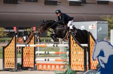 Foto: Magnus la Magia unter Andreas Brenner beim CSI Samorin - Fotograf: Lucia Grancovà