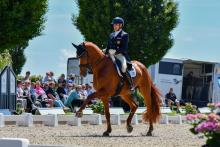 Foto: Jungpferdeprüfungen, Bundeschampionatsqualifikationen und Dressursport bis zur Grand Prix Kür - das Dressurfestival Hof Norwegen lässt keine Wünsche offen - Fotograf: RathmannVerlag/Malina Blunck Foto: Jungpferdeprüfungen, Bundeschampionatsqualifikationen und Dressursport bis zur Grand Prix Kür - das Dressurfestival Hof Norwegen lässt keine Wünsche offen - Fotograf: RathmannVerlag/Malina Blunck