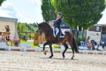 Foto: Platz eins für den Hausherrn Markus Waterhues und seinen Hannoveraner Hengst Duke of Happiness im Kurz Grand Prix - Fotograf: RathmannVerlag/Malina Blunck