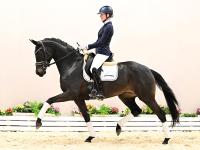 Foto: Lot 2: OLHPr.A Charleen v. Total McLaren - Fürst Romancier - Fotograf: © OLD-Art