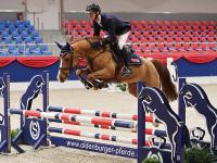 Foto: Kat.- Nr. 42 Million Dayguiva v. Million Reasons - Daiquiry – Steendieks Mc Laren - Fotograf: OLD Art