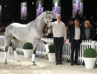 Foto: Spitzenpreispferd Dior scheint seinem neuen Besitzer Ulli Horch (rechts) genauso zu gratulieren wie auch Holger Hetzel (mitte) - Fotograf: Hartwig 