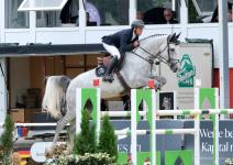 Foto: A Champion 7 Jährige Sprimgpferde - Fotograf: Hartwig 