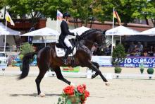 Foto: Beatrice Hoffrogge und Zuperman OLD sicherten sich 2025 in Görlitz das Ticket ins Finale des Nürnberger Burg-Pokals - Fotograf: B. Placzek Foto: Beatrice Hoffrogge und Zuperman OLD sicherten sich 2025 in Görlitz das Ticket ins Finale des Nürnberger Burg-Pokals - Fotograf: B. Placzek