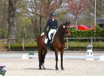 Foto: Mit gespitzten Ohren und konzentriert - die Holsteiner Stute Catoo`s Filippa und Ausbilderin Jennifer Kubenz in der Intermediaire I beim Turnierclub Maas J. Hell - Fotograf: BM