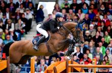 Foto: Chacco Blue, erfolgreiches Sportpferd und Leistungsvererber. Vater von vier Embryonen der Kollektion. - Fotograf: Arnd Bronkhorst Photography Foto: Chacco Blue, erfolgreiches Sportpferd und Leistungsvererber. Vater von vier Embryonen der Kollektion. - Fotograf: Arnd Bronkhorst Photography