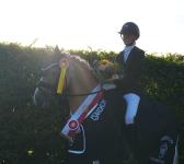 Foto: Westfalen-Champion der sechsjährigen Dressurponys Another Star - Fotograf: Westfalenpferde
