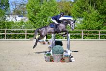 Foto: Kat. Nr. 4 - Enya v. Colman - Contendro I Fotograf: @OLD-Art