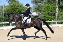Foto: Zum einen die Championesse der 6-jährigen Dressurpferde, DSP F-Grace St von Glamourdale/Fürstenball/Diamond Hit unter Ralf Kornprobst - Fotograf: Paula Fischer Foto: Zum einen die Championesse der 6-jährigen Dressurpferde, DSP F-Grace St von Glamourdale/Fürstenball/Diamond Hit unter Ralf Kornprobst - Fotograf: Paula Fischer