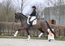 Foto: Dango Rubin v. Danone I – Goldberg - Fotograf: Hubert Fischer