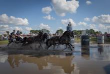 Foto: Das Oldenburger Landesturnier in Rastede wird 2026 Standort des Vierspänner-Nationenpreises und der Deutschen Meisterschaften. Hier Rainer Duen bei der EM 2025 im niedersächsischen Lähden - Fotograf: Massimo Argenziano/ FEI