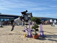 Foto: Kommen als Titelverteidiger zum Fehmarn Pferde Festival - der Derby-Zweite Simon Heineke und Early Bird, 2025 Sieger im Großen Preis des Kaufhauses Stolz - Fotograf: Helen Hippique