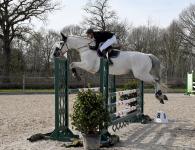 Foto: Kommt extra aus Sachsen-Anhalt immer wieder zu den Club-Turnieren: Uwe Kuhlemann, hier mit Crunchip - Fotograf: BM