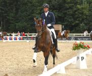 Foto: Die jüngsten Pferde des 77. Oldenburger Landesturniers glänzten in den Qualifikationen zum Rasteder Reitpferdechampionat - hier Eike Bewertungen mit Be my Gold, der zwei Vollbrüder durch die Reitpferdeprüfung pilotierte, mit Be Gold gewann und sich mit Be my Gold platzierte - Fotograf: OLT
