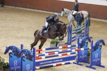 Foto: Explosion v. Eldorado v/d Zeshoek-Contender präsentierte sich unter seinem Züchter Rasmus Lüneburg - Fotograf: RathmannVerlag/Stefan Stuhr Foto: Explosion v. Eldorado v/d Zeshoek-Contender präsentierte sich unter seinem Züchter Rasmus Lüneburg - Fotograf: RathmannVerlag/Stefan Stuhr