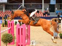 Foto: Felix Wassenberg - No Limits - Preis des Herrn Manfred Heinze (Video: ClipMyHorse.TV)