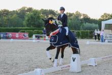 Foto: Westfalen-Champion der sechsjährigen Dressurpferde Fiete NRW v. Fashion in Black NRW - Fotograf: LL Foto