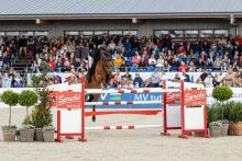 Foto: Finalsieg – unglaublich! Tomma Thiesen gewinnt mit Bert das Finale der Mittleren Vier-Sterne-Tour, den Preis der Sprehe Feinkost - Fotograf: Maria Seiler Foto: Finalsieg – unglaublich! Tomma Thiesen gewinnt mit Bert das Finale der Mittleren Vier-Sterne-Tour, den Preis der Sprehe Feinkost - Fotograf: Maria Seiler