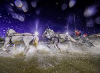 Foto: Fotograf Andreas Steindl gewann 2025 die "Silberne Kamera" für dieses sensationelle Bild, das beim CHIO Aachen 2024 entstanden ist - Fotograf: Andreas Steindl