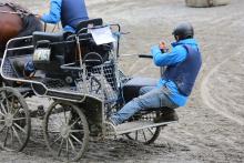 Foto: Impression Fahrsport - Fotograf: WPSV