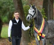 Foto: Der aktuelle Körsieger des VZAP, Hamzah al Batra, aus dem Besitz von Petra und Nigel Nutt verkörpert das, was Arabische Pferde auszeichnet. Der VZAP ist nun auch bei der Passion Pferd in Hannover in Halle 023 zu erreichen - Fotograf: Sirid Hahn