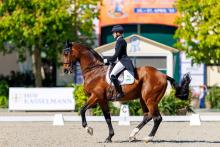 Foto: Olympiakader-Reiterin Ingrid Klimke hat frühzeitig ihre Teilnahme mit Vayron NRW bei Horses & Dreams angekündigt - Foto: Sportfotos-Lafrentz.de Foto: Olympiakader-Reiterin Ingrid Klimke hat frühzeitig ihre Teilnahme mit Vayron NRW bei Horses & Dreams angekündigt - Foto: Sportfotos-Lafrentz.de