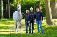 Foto: Zuccero HV v. Zirocco Blue mit Uwe Benzin, Ludger Beerbaum und Felix Flinzer (v.l.n.r.) - Foto: Sebastian Bolse Foto: Zuccero HV v. Zirocco Blue mit Uwe Benzin, Ludger Beerbaum und Felix Flinzer (v.l.n.r.) - Foto: Sebastian Bolse
