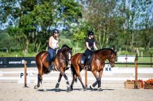 Foto: Entspanntes Zeigen der Dressurplätze - Fotograf: Baborówko Equestrian Festival