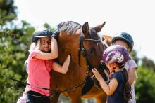 Foto: Am Sonntag werden bei der WM in Aachen 16 Schulpferde in einem speziellen Wettbewerb für Reitvereine antreten. - Fotograf: (c) Jandke Foto: Am Sonntag werden bei der WM in Aachen 16 Schulpferde in einem speziellen Wettbewerb für Reitvereine antreten. - Fotograf: (c) Jandke