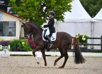 Foto: Mit dem zehnjährigen Hengst Viva Gold OLD ließ Isabell Werth im CDI4* Grand Prix Special um den „Let's get hooved“-Preis keine Zweifel mehr aufkommen - Fotograf: reitsport-hellmann.de Foto: Mit dem zehnjährigen Hengst Viva Gold OLD ließ Isabell Werth im CDI4* Grand Prix Special um den „Let's get hooved“-Preis keine Zweifel mehr aufkommen - Fotograf: reitsport-hellmann.de