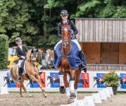Foto: Das Oldenburger Landesturnier beginnt am 22. Juli und vereint Dressur, Springsport und erstmals den CAIO der Vierspänner an einem Ort - Fotograf: RRV Rastede Foto: Das Oldenburger Landesturnier beginnt am 22. Juli und vereint Dressur, Springsport und erstmals den CAIO der Vierspänner an einem Ort - Fotograf: RRV Rastede