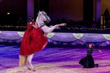 Foto: Das Tanz-Duett - Jamie Poncin - Fotograf: sportfotos-lafrentz.de Foto: Das Tanz-Duett - Jamie Poncin - Fotograf: sportfotos-lafrentz.de