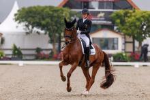 Foto: 77,022 Prozent und damit eine starke Leistung im Hinblick auf eine mögliche Nominierung für die Weltmeisterschaften in Aachen: Katharina Hemmer und Denoix PCH im Grand Prix CDI4* - Fotograf: sportfotos-lafrentz.de Foto: 77,022 Prozent und damit eine starke Leistung im Hinblick auf eine mögliche Nominierung für die Weltmeisterschaften in Aachen: Katharina Hemmer und Denoix PCH im Grand Prix CDI4* - Fotograf: sportfotos-lafrentz.de