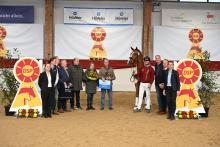 Foto: Siegerhengst von Sir Heinrich - Fotograf: Hubert Fischer 