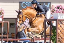 Foto: Gewann die Springpferdeprüfung Kl. L in der 2. Abteilung: die Fuchststute New Capitola mit Ausbilderin Mascha Krause aus Flintbek - Fotograf: CH. Beeck