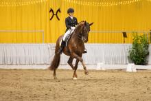 Foto: Sieger des vergangenen Jahres: Life Time FRH und Charlott-Maria Schürmann - Fotograf: Hannoveraner Verband