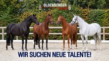 Foto: Oldenburger Auktion Vier neu Talente - Fotograf: ©OLD-Art / KI-generiert