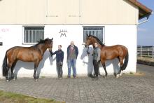 Foto: v.li. Zensus an der Hand von Lousia Matzinger, Elton mit Servicestellenleiterin Pauline Jopp mit dem 1. Vorsitzenden des Pferdezuchtvereins Biberach e.V. Bruno Hummler - Fotograf: emg