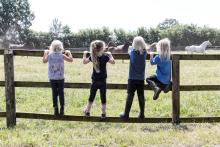 Foto: Der Reit- und Fahrverein Fürstenau e. V. wurde als fünfter Leuchtturmbetrieb des Projekts „Bundesweite Leuchttürme“ ausgezeichnet - Fotograf: Pferde für unsre Kinder (PfuK)