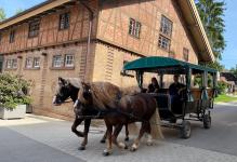 Foto: Ferienfahrten - Mit dem Planwagen das Gestütsareal entdecken - Fotograf: Gille-Eberhardt Foto: Ferienfahrten - Mit dem Planwagen das Gestütsareal entdecken - Fotograf: Gille-Eberhardt