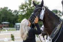 Foto : Morgen beginnt die WM-Woche in Verden - Fotograf: Lafrentz