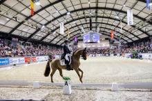 Foto: Moritz Treffinger und Fiderdance gaben 2026 ihr gemeinsames Neumünster Debut und verließen die Holstenhallen mit ihrer besten FEI Dressage World Cup™ Platzierung der Saison - Fotograf: sportfotos-lafrentz.de Foto: Moritz Treffinger und Fiderdance gaben 2026 ihr gemeinsames Neumünster Debut und verließen die Holstenhallen mit ihrer besten FEI Dressage World Cup™ Platzierung der Saison - Fotograf: sportfotos-lafrentz.de