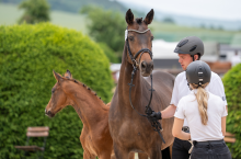 Foto: Trakehner Fohlen die aus Bedeckungen mit Frisch- oder Tiefgefiersamen sowie dem Natursprung entstanden sind, erhalten im Pferdepass das Prädikat "Classic Breeding" - Fotograf: F. Büttner