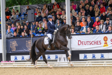 Foto: Ein Bild, das für die Al Shira'aa Bundeschampionate 2026 steht: Sina Aringer und Pramwaldhof's Bonds in Gold vor voll besetzten Tribünen in Warendorf. - Fotograf: (c) Equitaris Foto: Ein Bild, das für die Al Shira'aa Bundeschampionate 2026 steht: Sina Aringer und Pramwaldhof's Bonds in Gold vor voll besetzten Tribünen in Warendorf. - Fotograf: (c) Equitaris