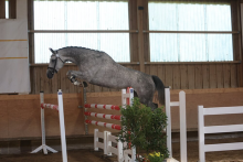 Foto: Tagessiegerin Hanna v. Hickstead White/Sandro - Fotograf: Doris Matthaes Foto: Tagessiegerin Hanna v. Hickstead White/Sandro - Fotograf: Doris Matthaes