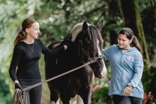 Foto: Mit der Initiative "100 Schulpferde plus" setzen sich Pferdesport Deutschland und die Reit-WM Aachen 2026 für die Zukunft der Reitschulen in Deutschland ein - Fotograf: Pferdesport Deutschland Foto: Mit der Initiative "100 Schulpferde plus" setzen sich Pferdesport Deutschland und die Reit-WM Aachen 2026 für die Zukunft der Reitschulen in Deutschland ein - Fotograf: Pferdesport Deutschland